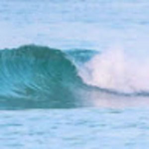 Meet your Posher, Ava